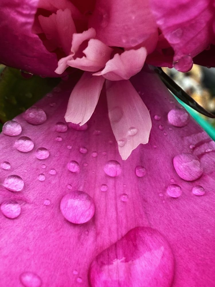 Фотография автора Татьяна Буянова