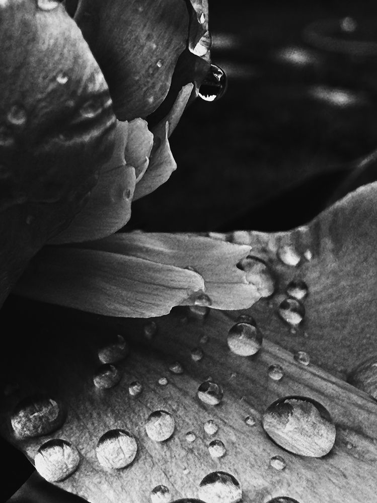 Фотография автора Татьяна Буянова