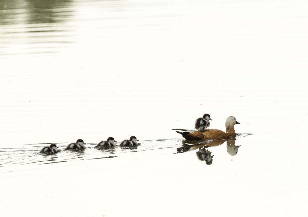 Photograph by Анатолий Макоедов