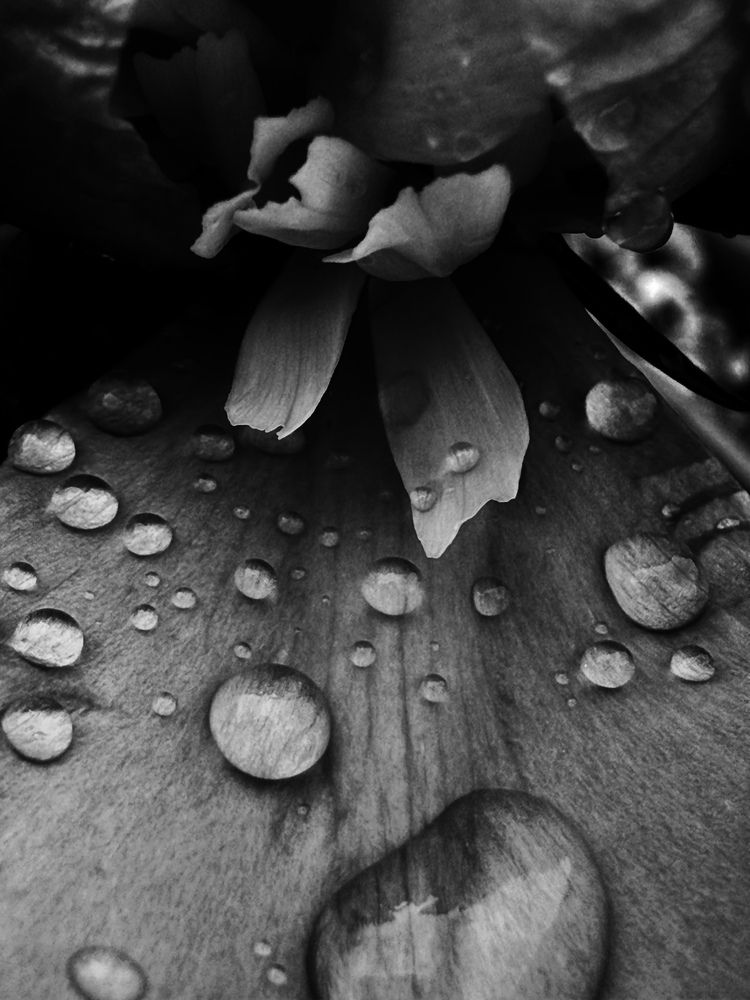 Фотография автора Татьяна Буянова