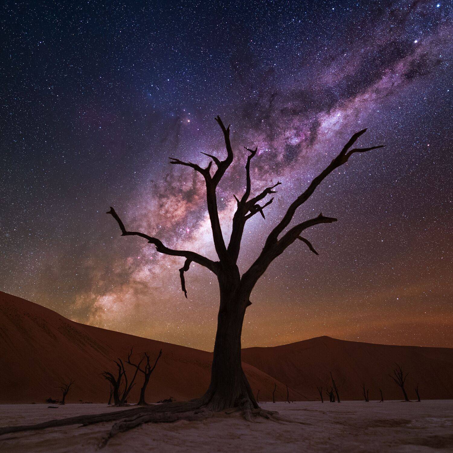 A Journey Through Time