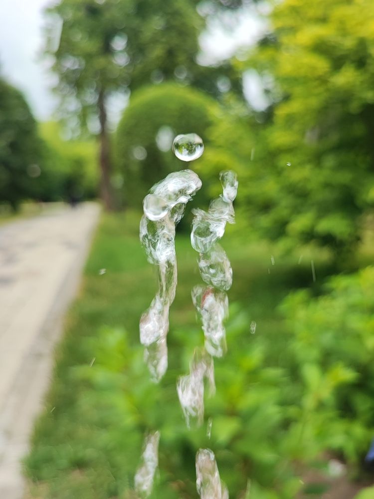 Photograph by Елена Шоколенко