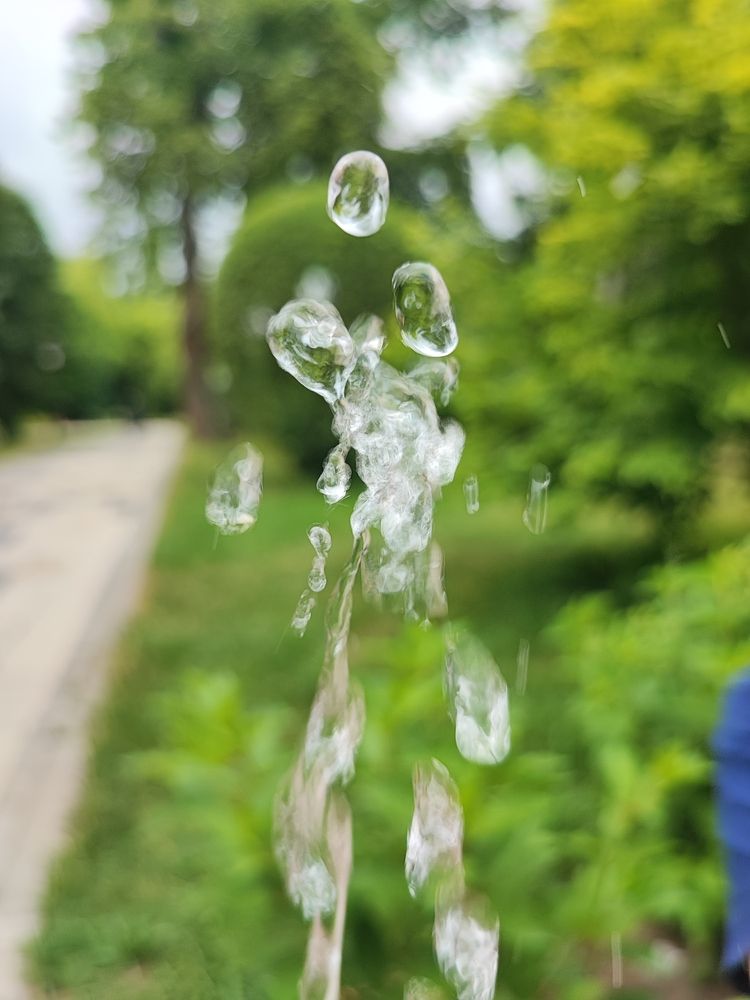 Photograph by Елена Шоколенко