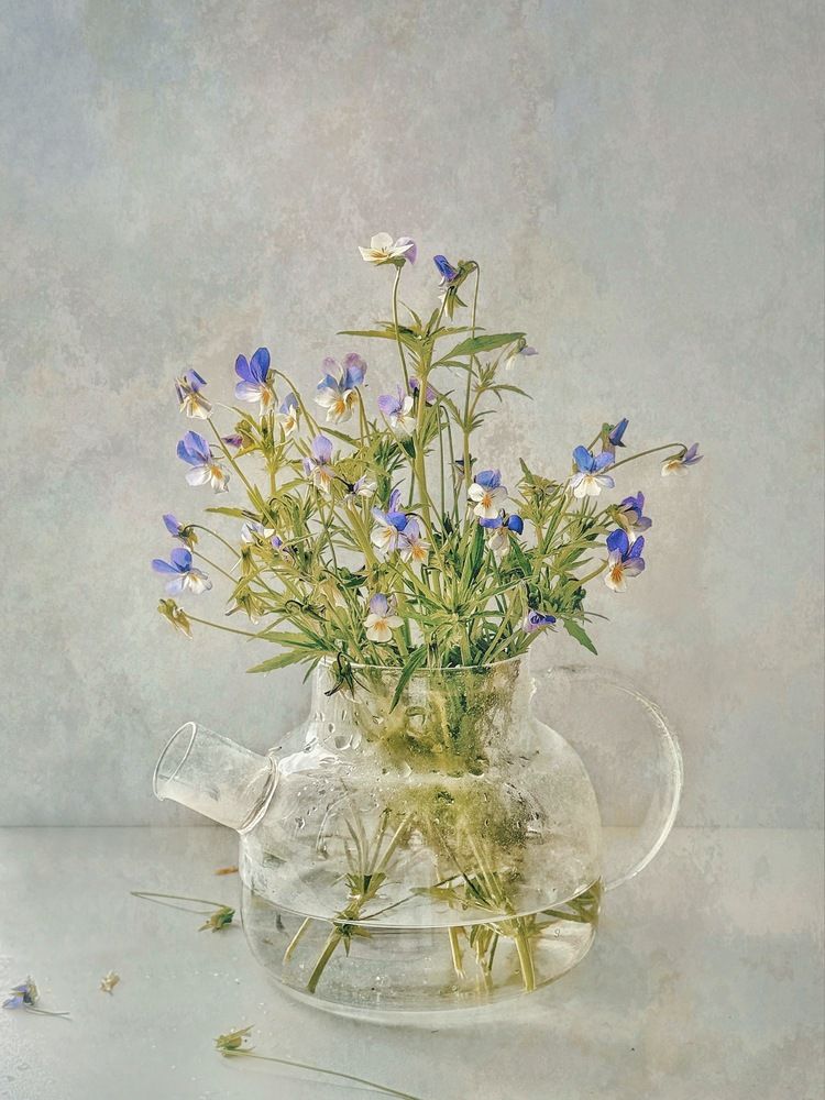 Фотография автора Евгения Никишина