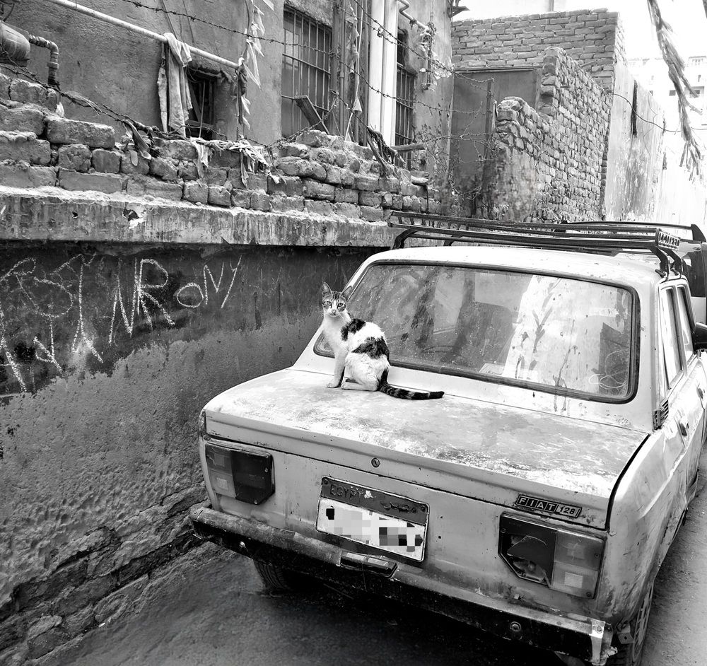 Photograph by Ahmed Mohamed Ibrahim