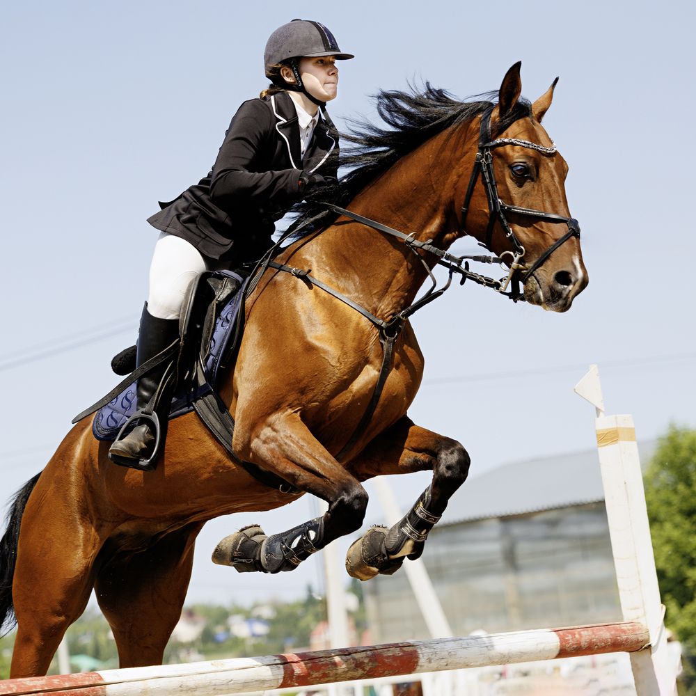 Фотография автора Елена Гордиевская