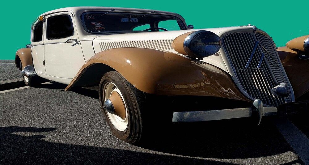 Photograph by JOSE LIMA RODRIGUES