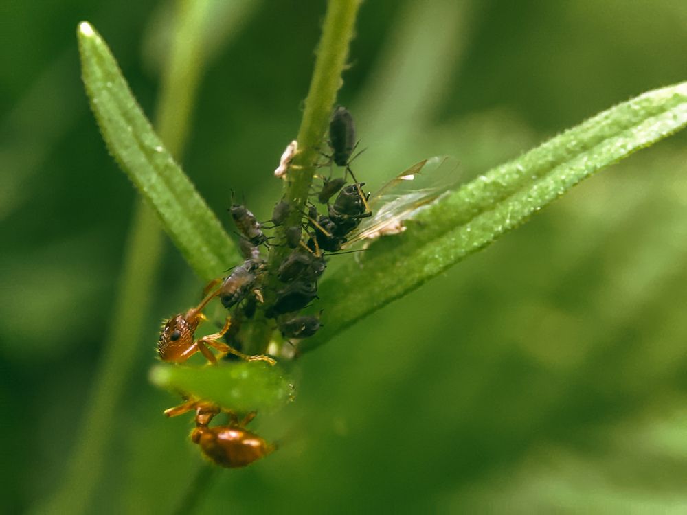 Photograph by Екатерина Никитина