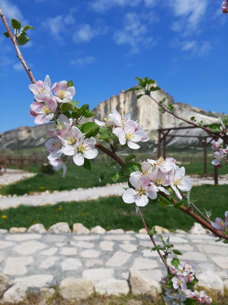Photograph by Галина Глазкова