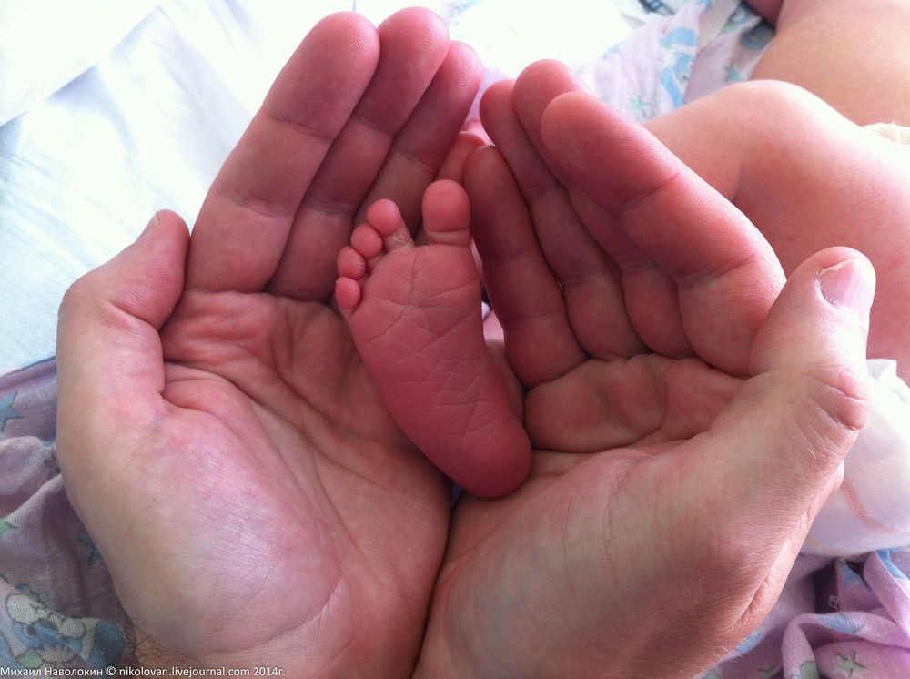 Фотография автора Наволокин Михаил