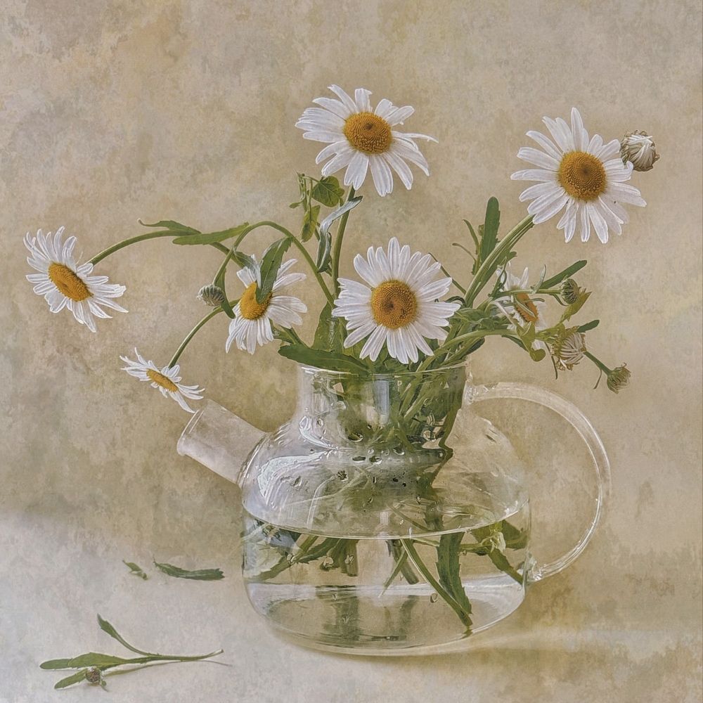 Фотография автора Евгения Никишина