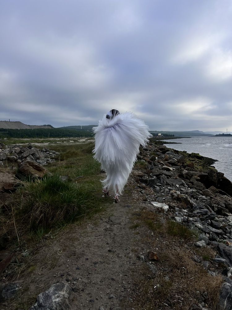 Фотография автора Komarov Svyatoslav