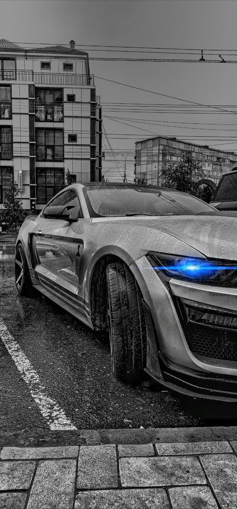 Photograph by Ронжин Дмитрий