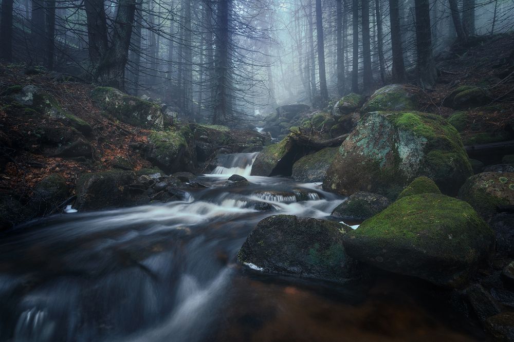 Photograph by Александър Александров