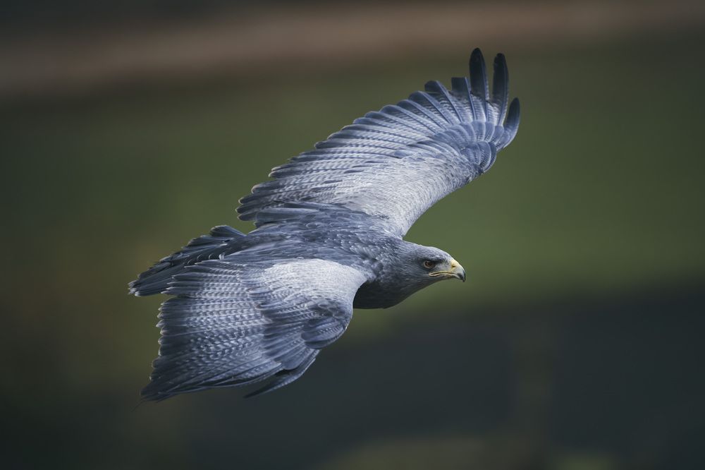 Photograph by Natalie Liedtke