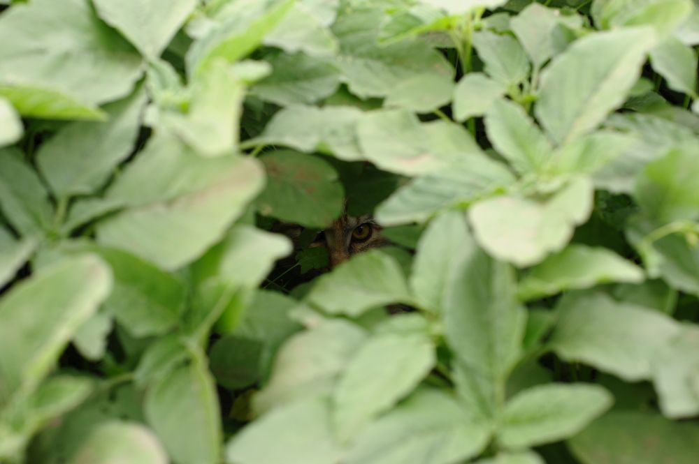 Фотография автора Тагир Должиков