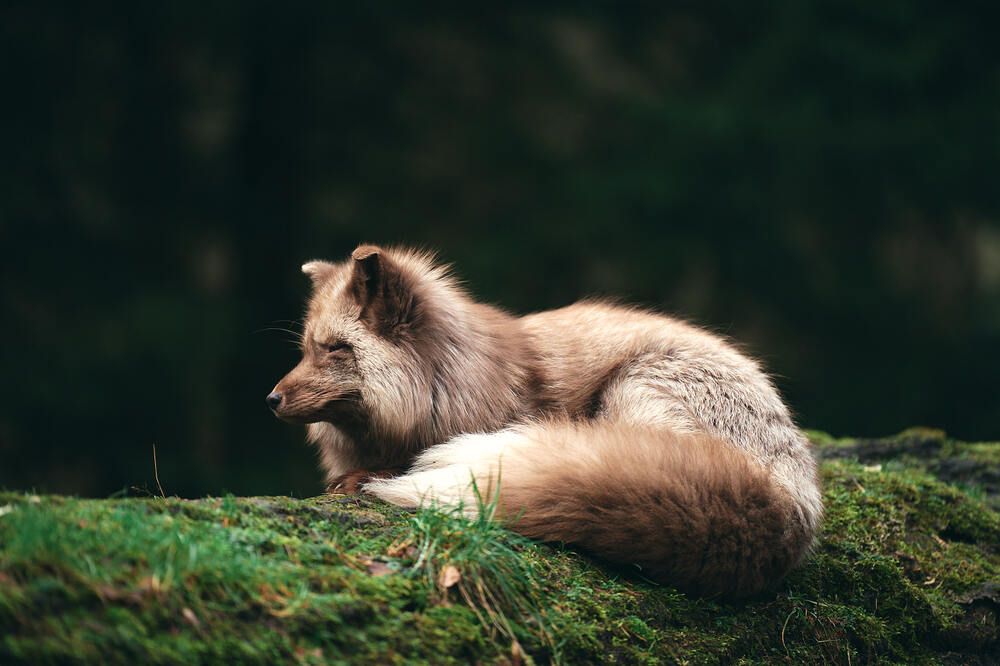 Photograph by Natalie Liedtke