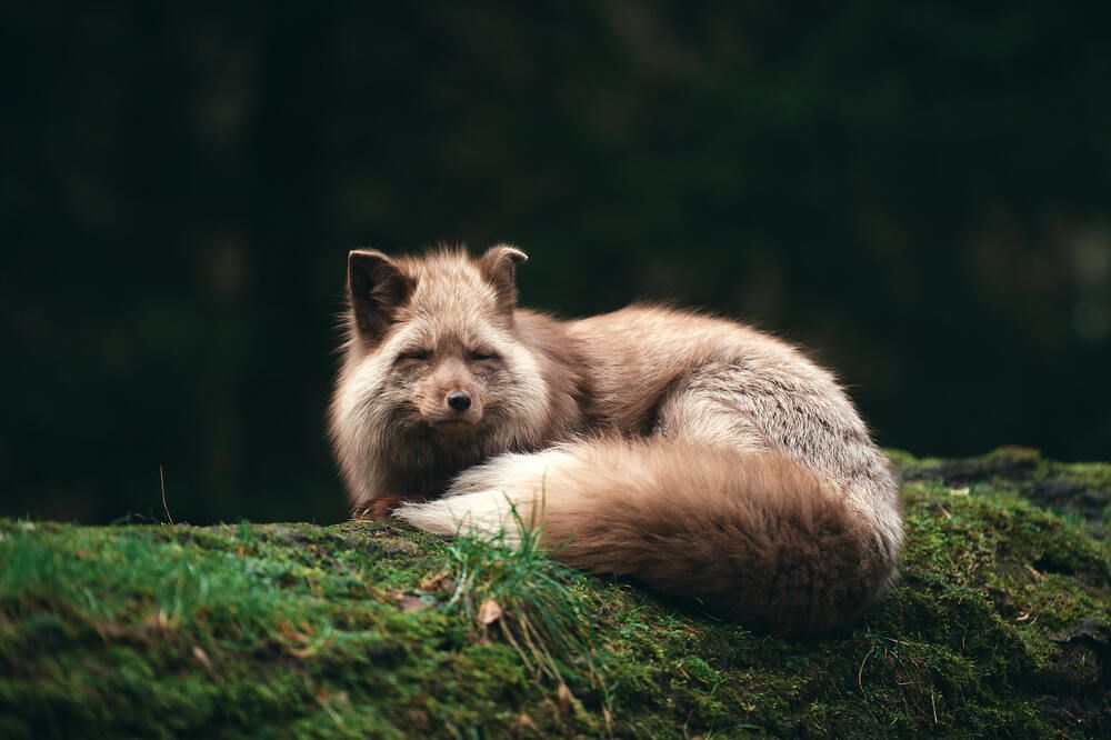 Photograph by Natalie Liedtke