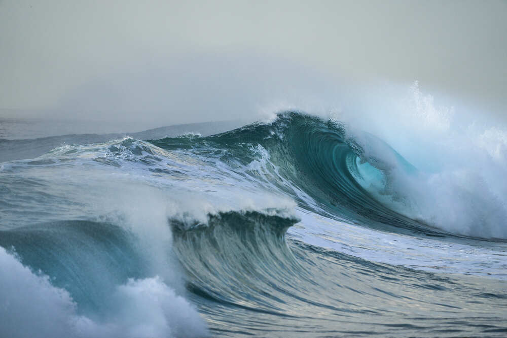 Photograph by Natalie Liedtke