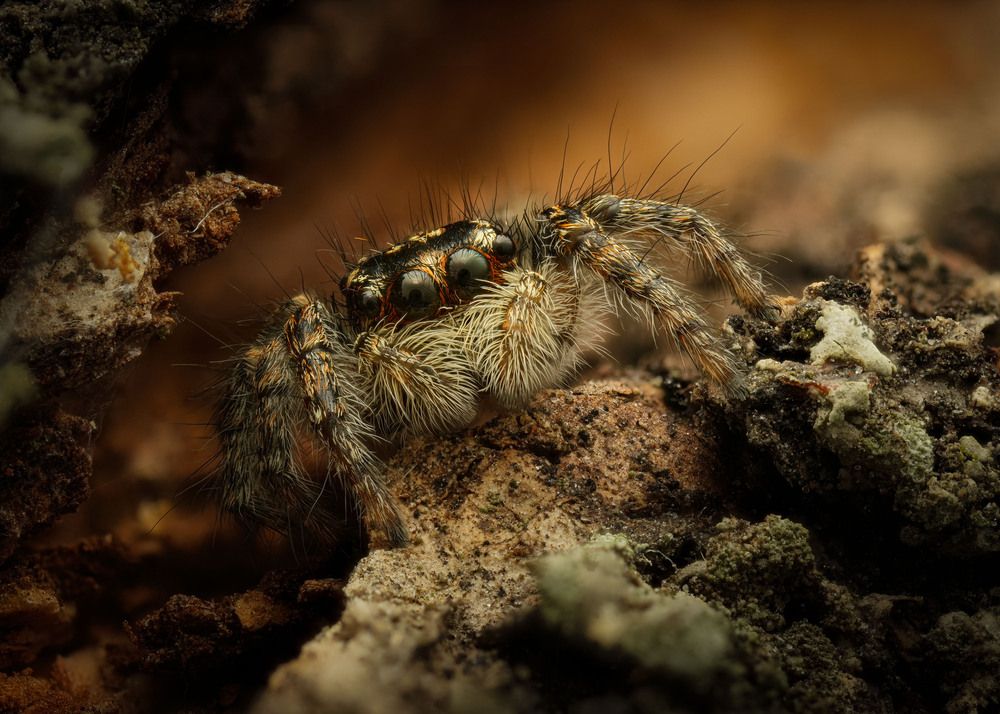 Photograph by Юрий Юрьевич Подгрушный