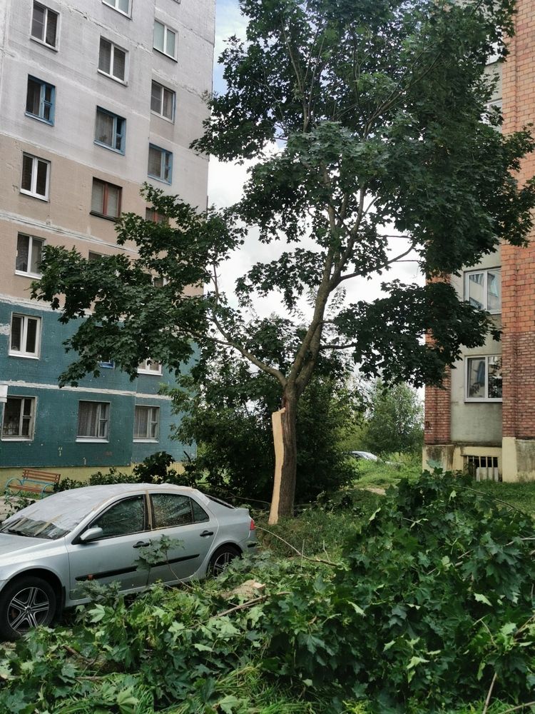 Photograph by Людмила Орловская