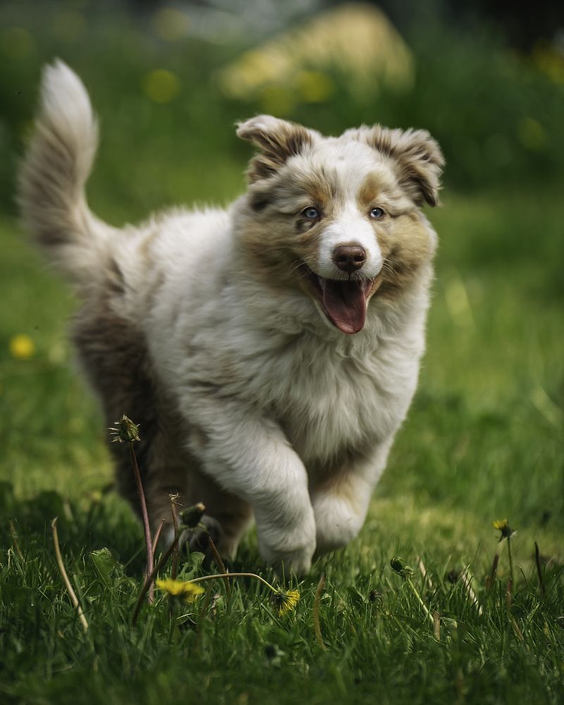 Photograph by Anna Sindikayeva