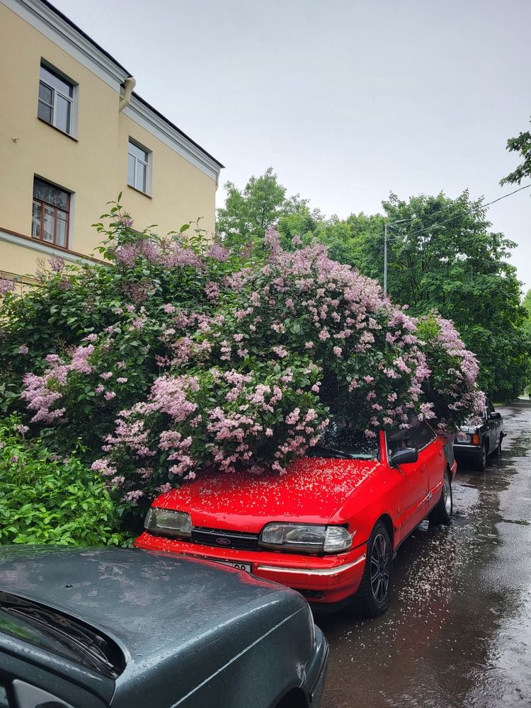 Photograph by Елена Фетисова
