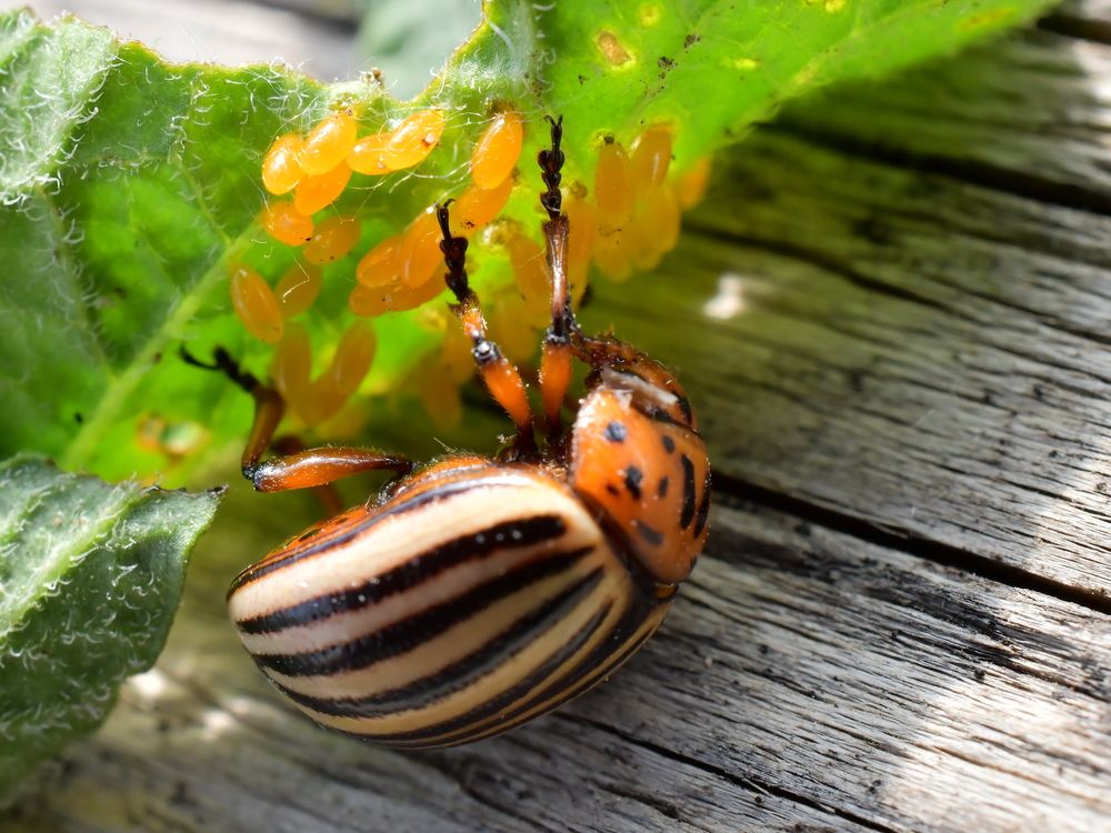 Photograph by Николай Абакумов