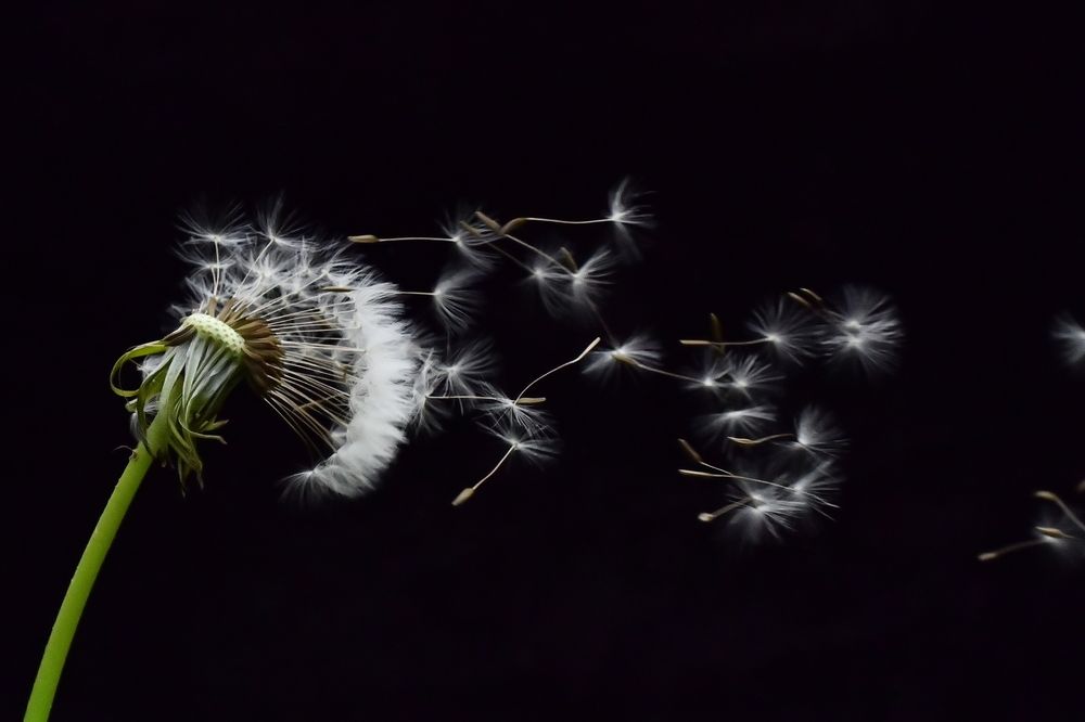 Photograph by Николай Абакумов