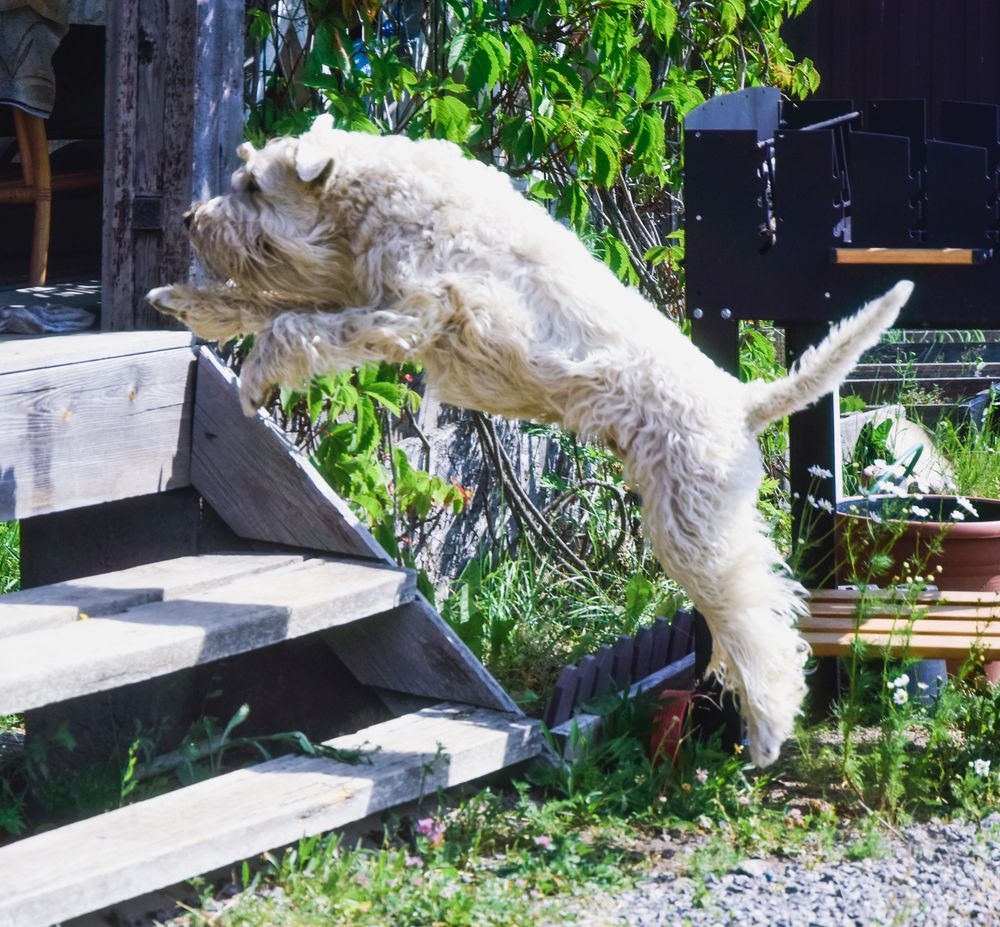Фотография автора Альбина Хвастунова