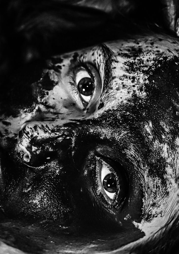 Photograph by Дарья Писарева