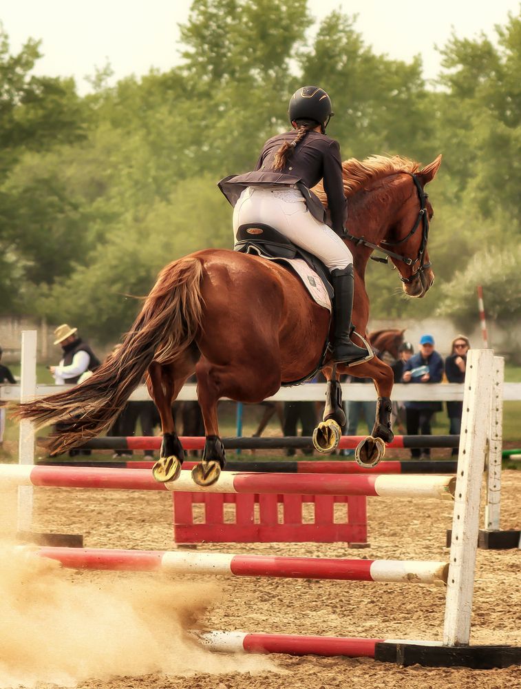 Photograph by Лапин Сергей