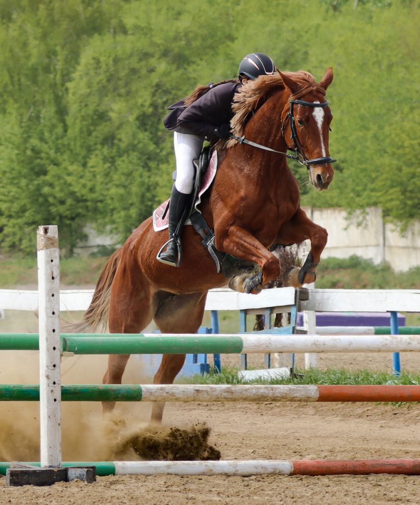 Photograph by Лапин Сергей