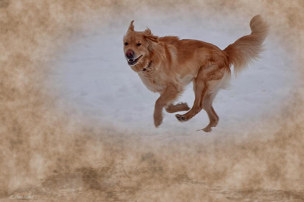 Photograph by Сергей