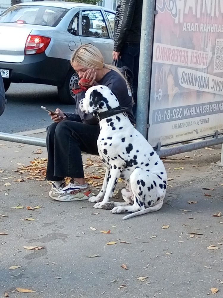 Ну что когда автобус?
