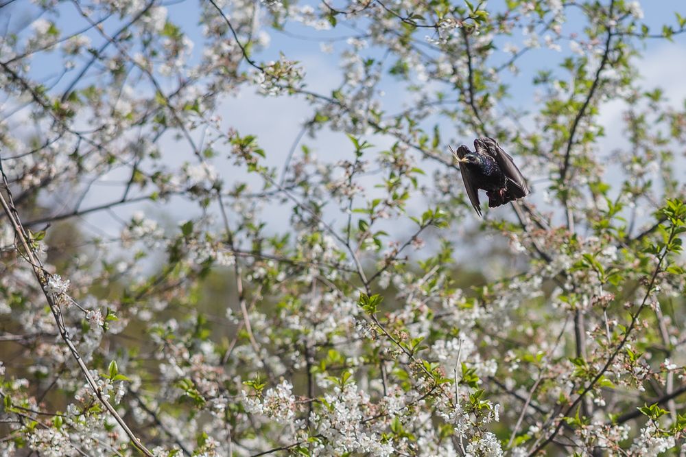 Photograph by Филипп Бабенко