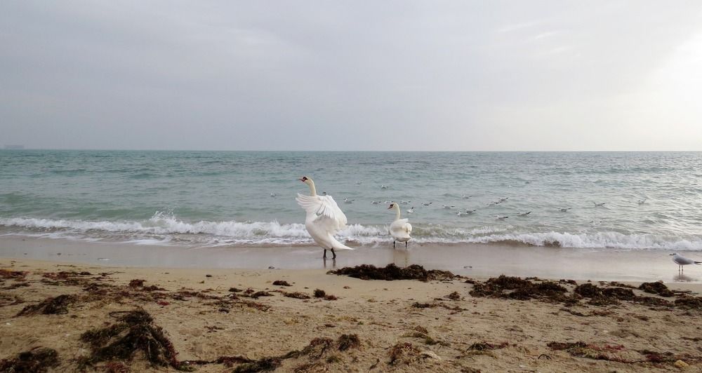 Photograph by Елена Казарина