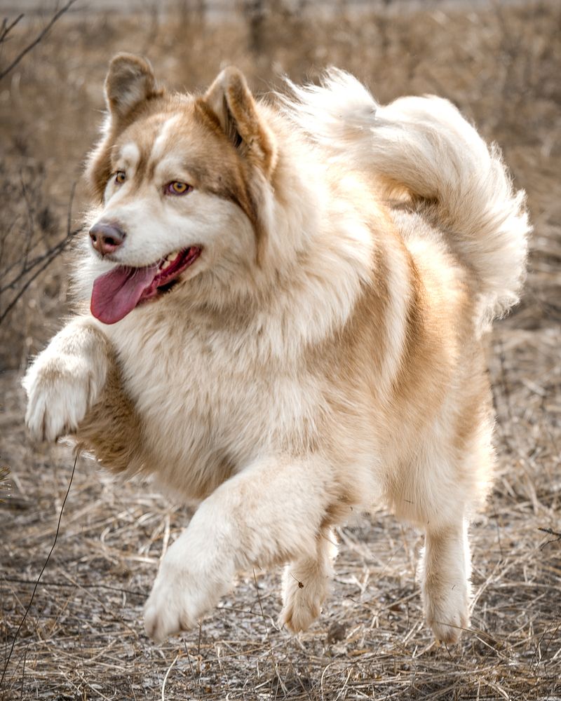 Photograph by Aleksandr Solovev