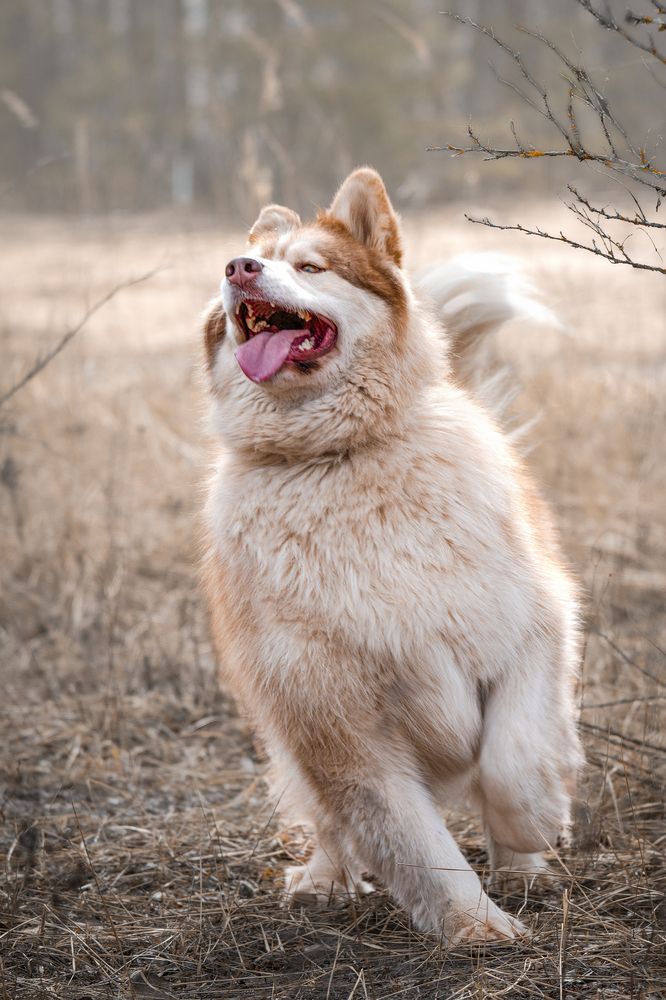 Photograph by Aleksandr Solovev