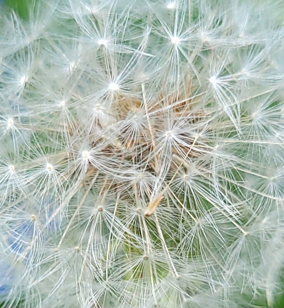 Photograph by Елена Фетисова