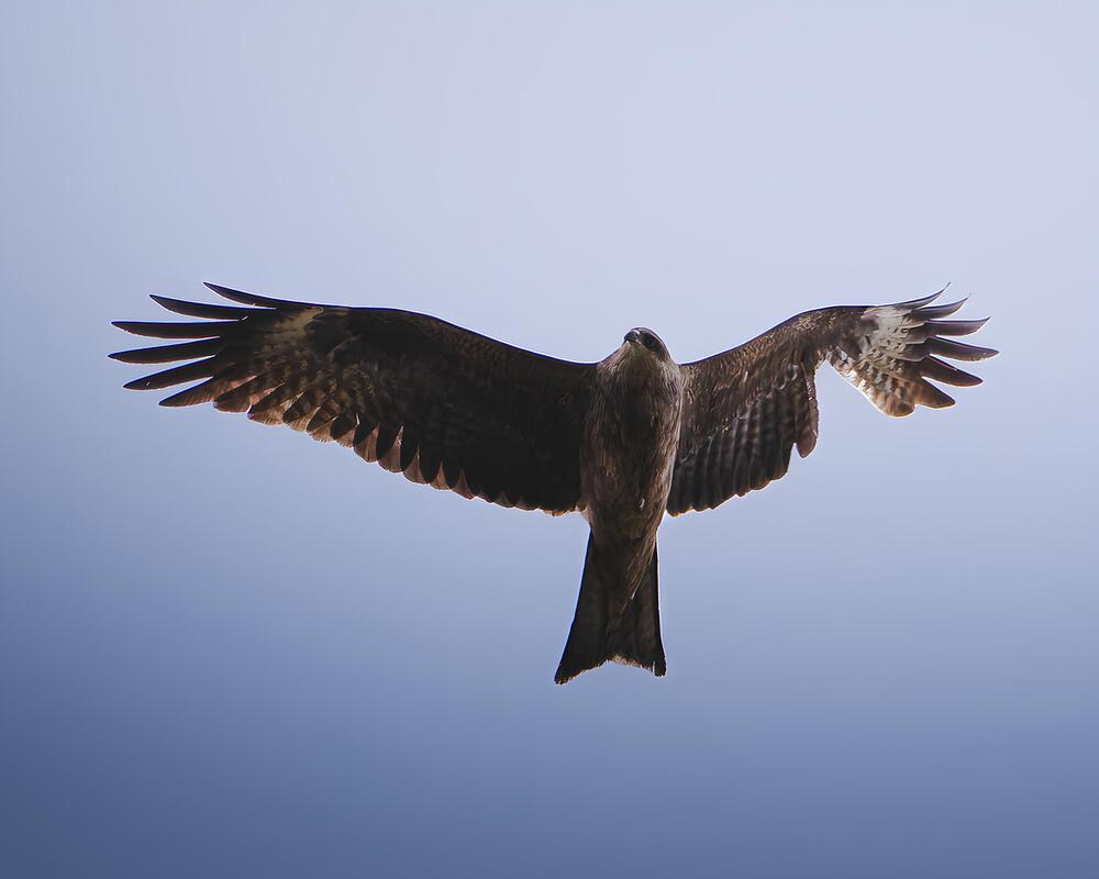 Photograph by Данил Шауба