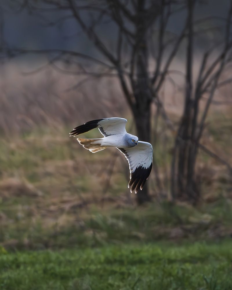 Photograph by Данил Шауба