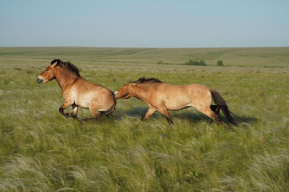 Photograph by Евгения Ковригина