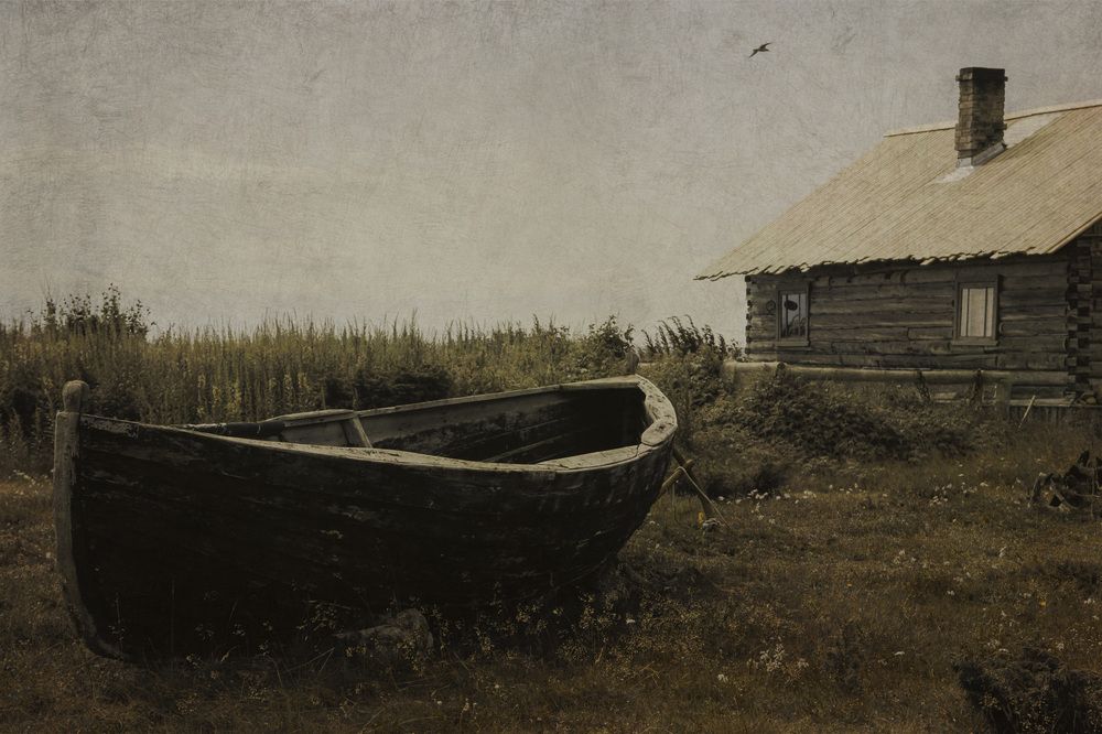 Photograph by Сагдиева Эльвира