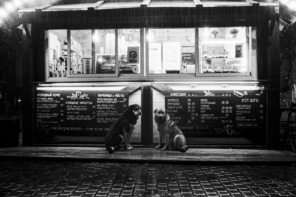 Photograph by Алексей Косов