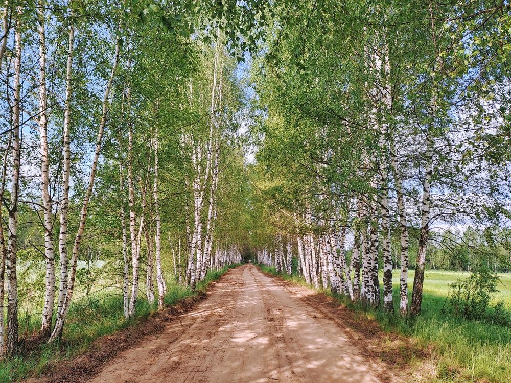 Photograph by Владимир Караман
