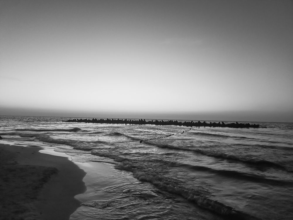 Photograph by ALSAMOAL ABDELMONEM