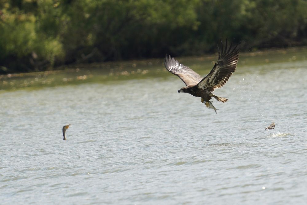 Photograph by Tyler Dewees