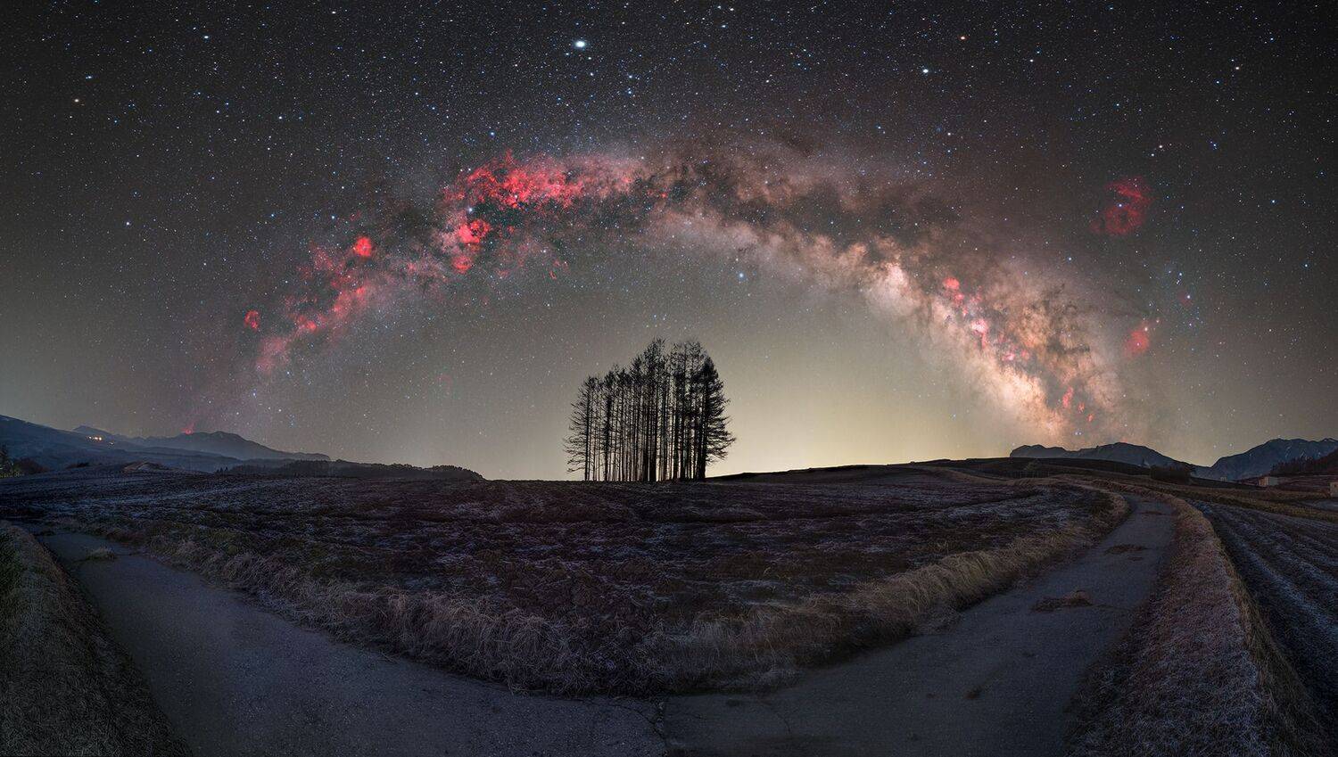 Фотография #12284199