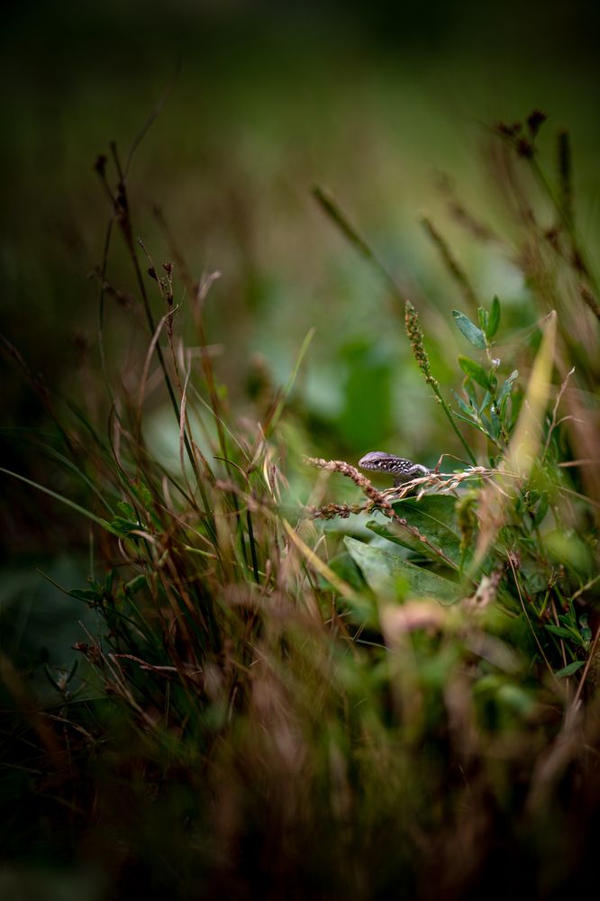 Photograph by Артемий Соловьёв